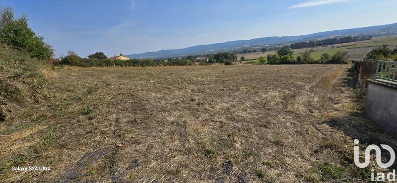Terrain - 4 317 m²