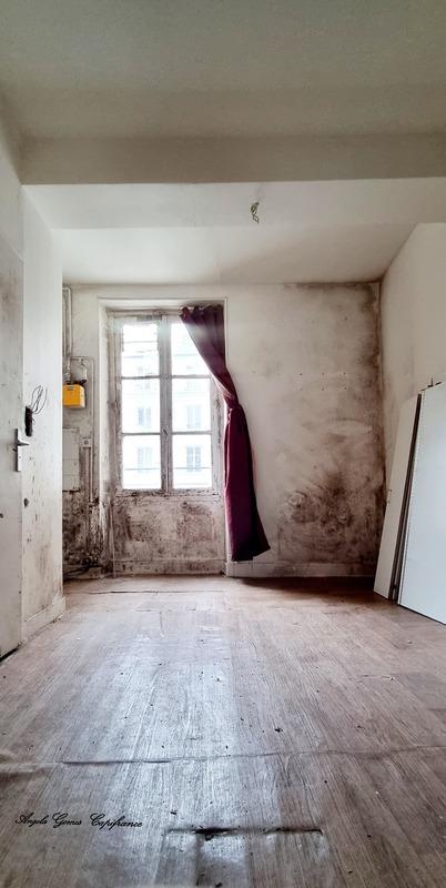 Appartement - 16 m² - 1 pièce