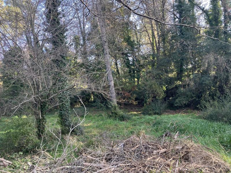 Terrain constructible - 11 000 m²