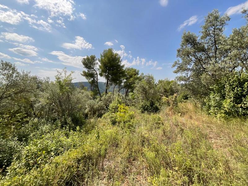 Terrain constructible - 3 015 m²