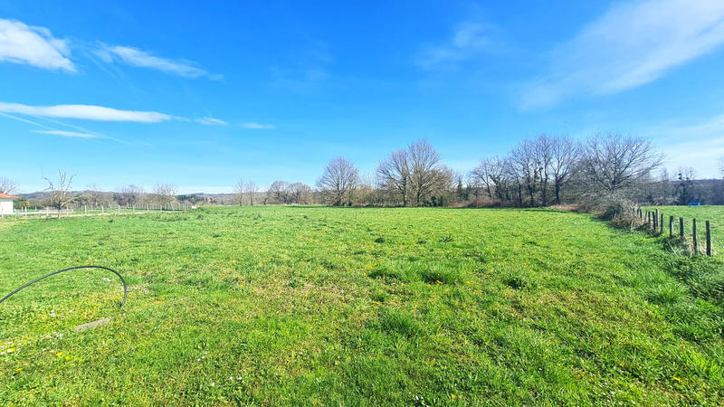 Terrain - 2 976 m²