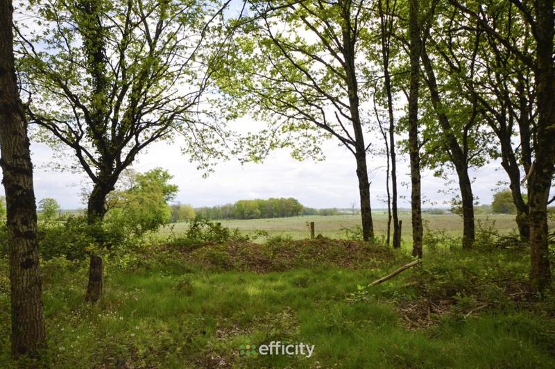 Maison traditionnelle - 159 m² - 4 pièces