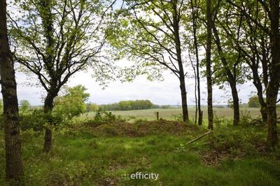 Maison traditionnelle - 159 m² - 4 pièces