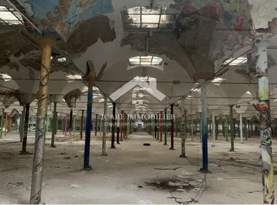 Local d'activités - 821 m²