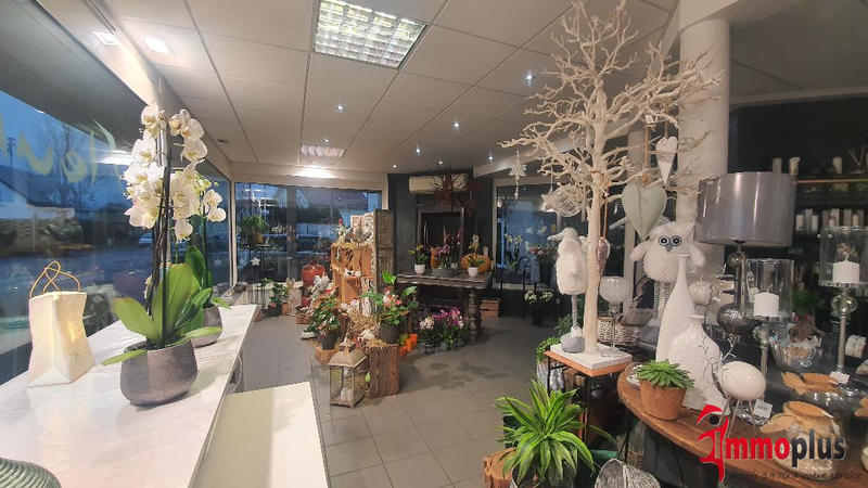 Local commercial - 50 m² - 1 pièce