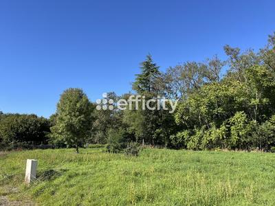 Terrain - 646 m²