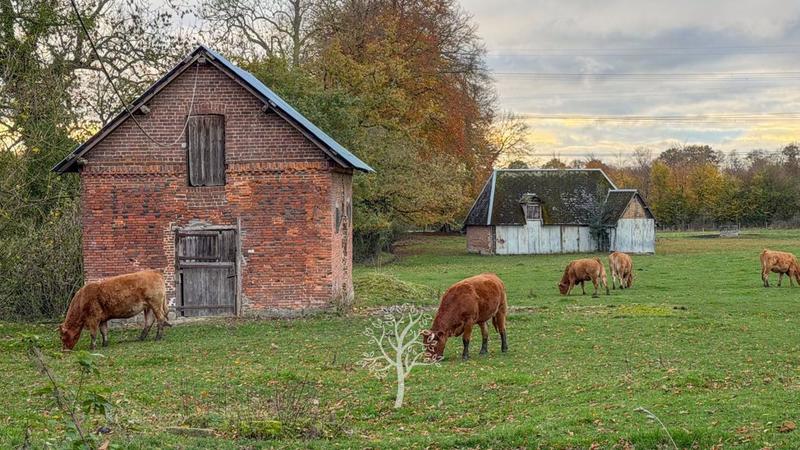 Corps de ferme - 115 m² - 5 pièces