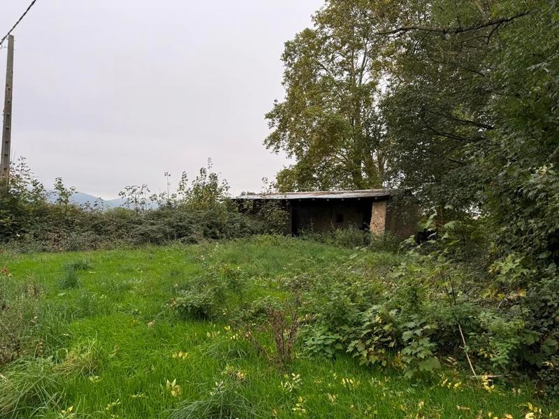 Terrain - 98 000 m²