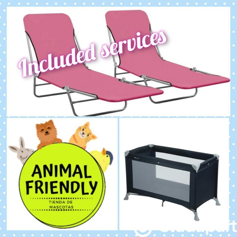 Appartement - 21 m² - 1 pièce