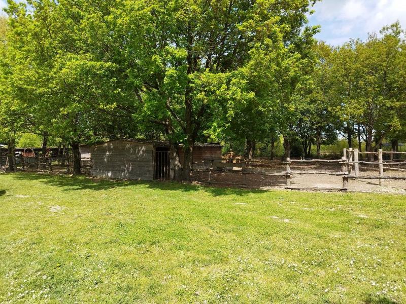 Maison ancienne - 221 m² - 10 pièces