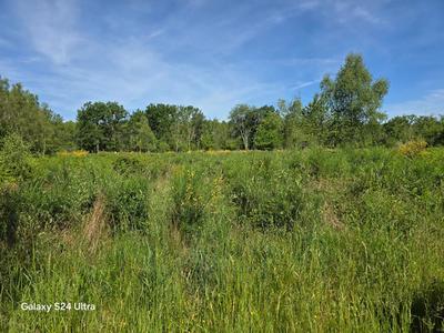 Terrain - 231 782 m²