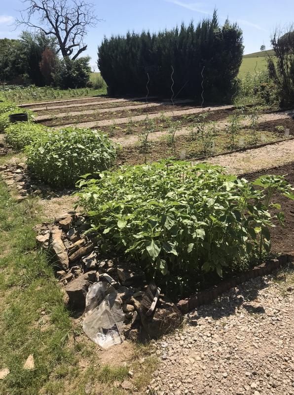 Maison de village - 185 m² - 8 pièces