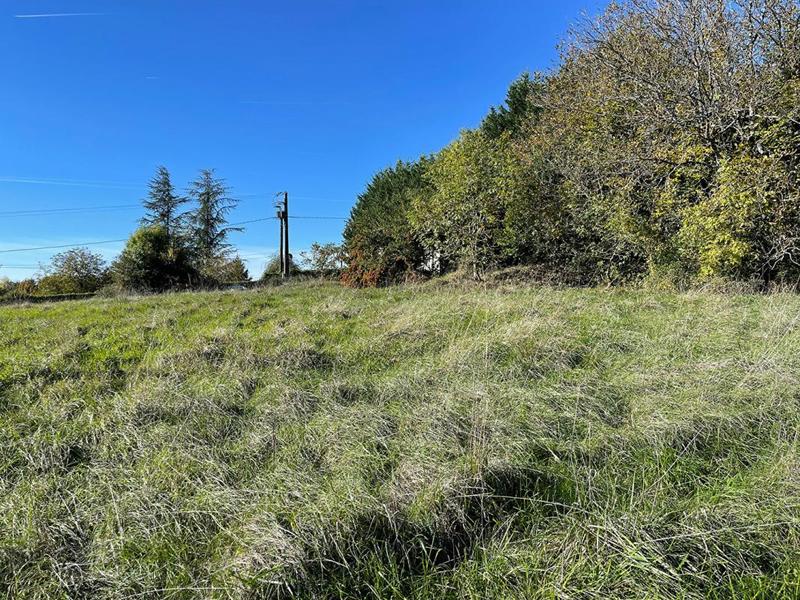 Terrain constructible - 3 039 m²