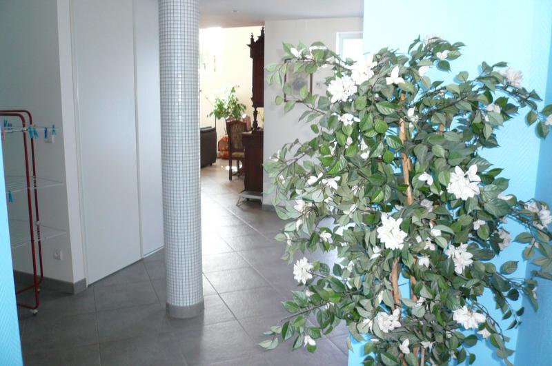 Viager - Maison - 140 m² - 4 pièces