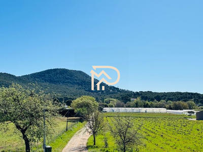 Local d'activités - 309 m²