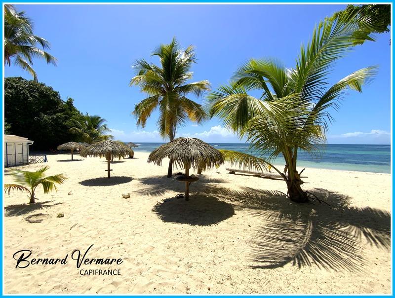 Appartement - 30 m² - 1 pièce