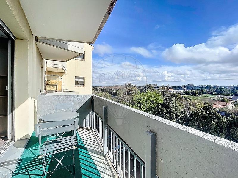 Studio - 24 m² - 1 pièce