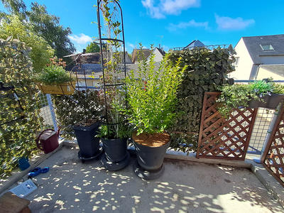 Appartement - 56 m² - 2 pièces