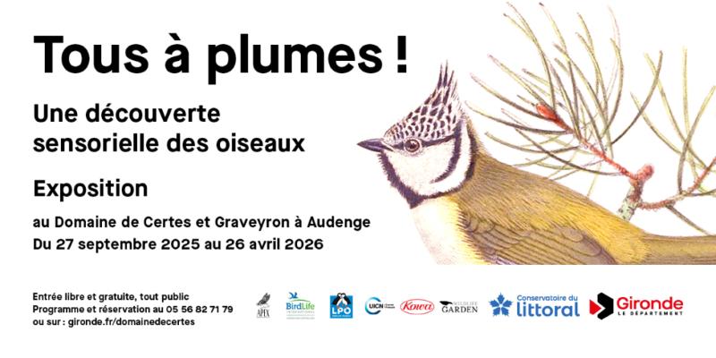 Exposition : Tous à plumes