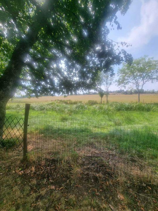 Propriété - 350 m² - 4 pièces