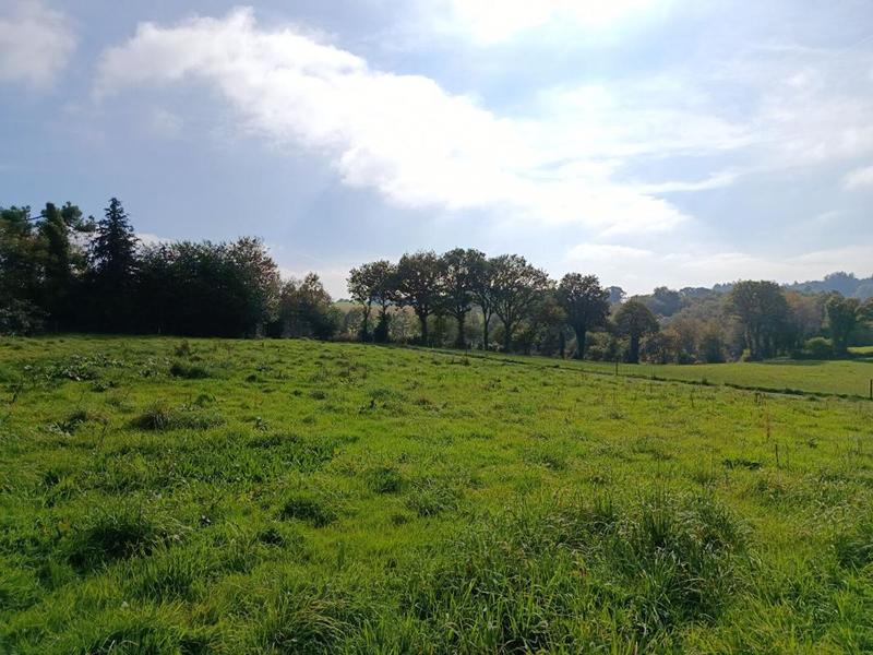 Maison - 130 m² - 4 pièces