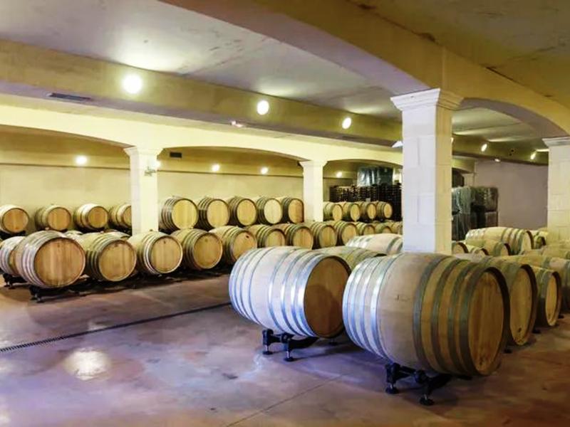 Tour du domaine et dégustation au Domaine du Grand Mayne