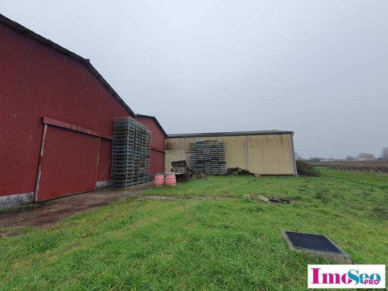 Local d'activité / Entrepôt - 1 600 m²