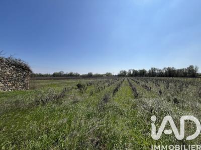 Terrain agricole - 8 225 m²