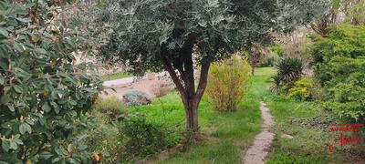 Maison - 140 m² - 4 pièces