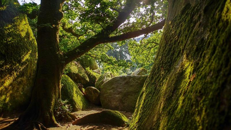 Maison - 154 m² - 6 pièces