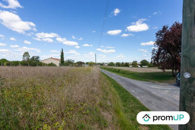 Terrain agricole - 3 000 m²