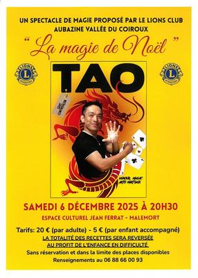 Spectacle de Tao : &quot;La magie de Noël&quot;