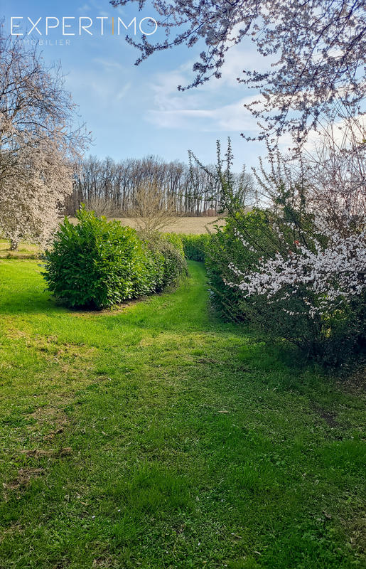 Viager - Maison - 191 m² - 12 pièces