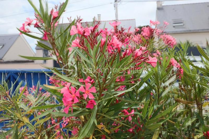 Maison - 100 m² - 6 pièces