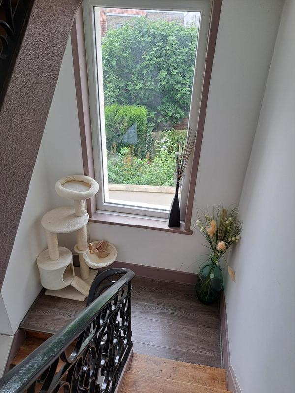 Maison - 230 m² - 7 pièces