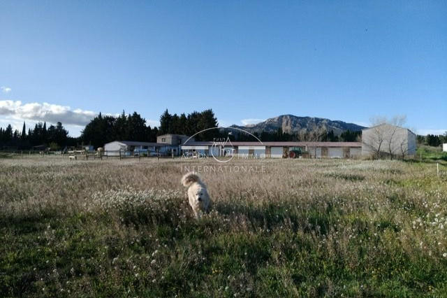 Maison de domaine équestre - 400 m² - 14 pièces