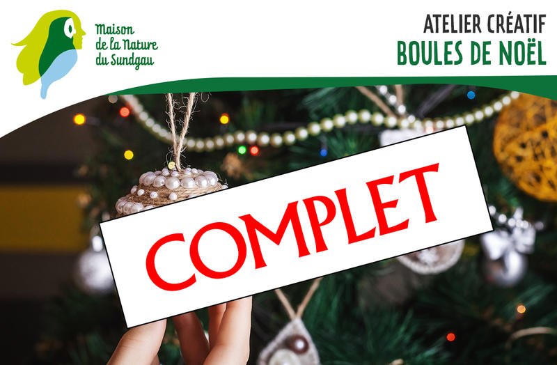 Atelier créatif - Boules de Noël