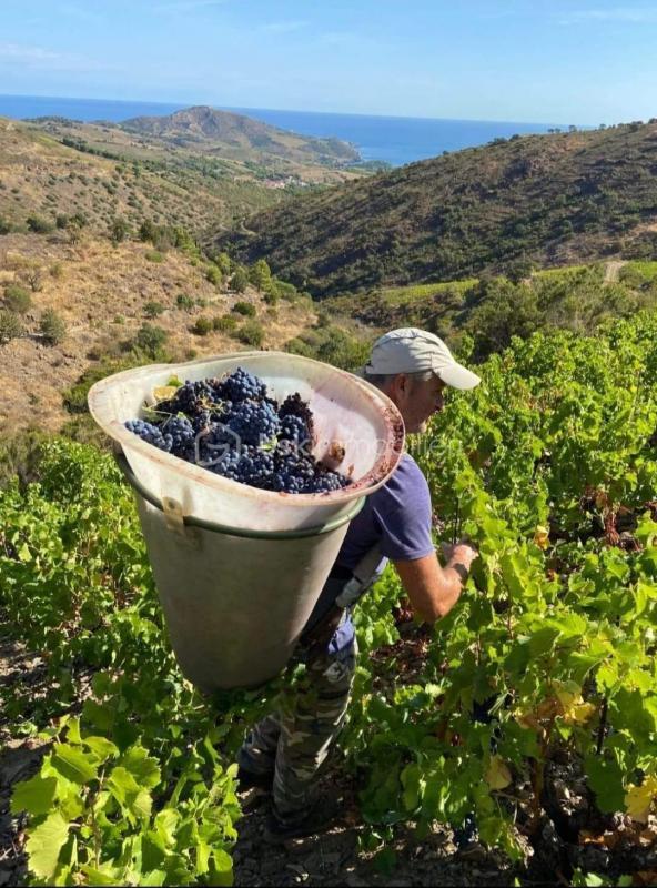 Terrain - 47 000 m²