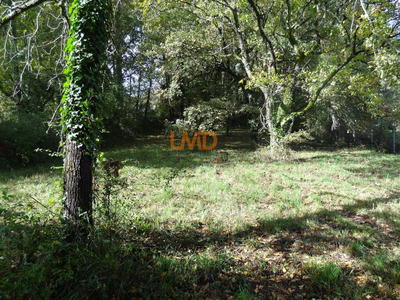 Terrain constructible - 1 710 m²