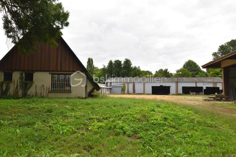 Local d'activité / Entrepôt - 2 600 m² - 10 pièces