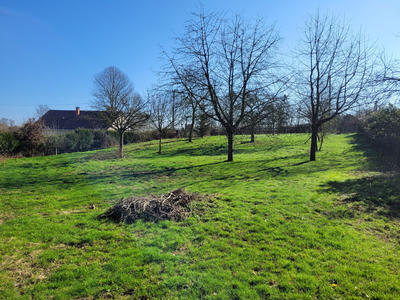 Terrain - 1 375 m²