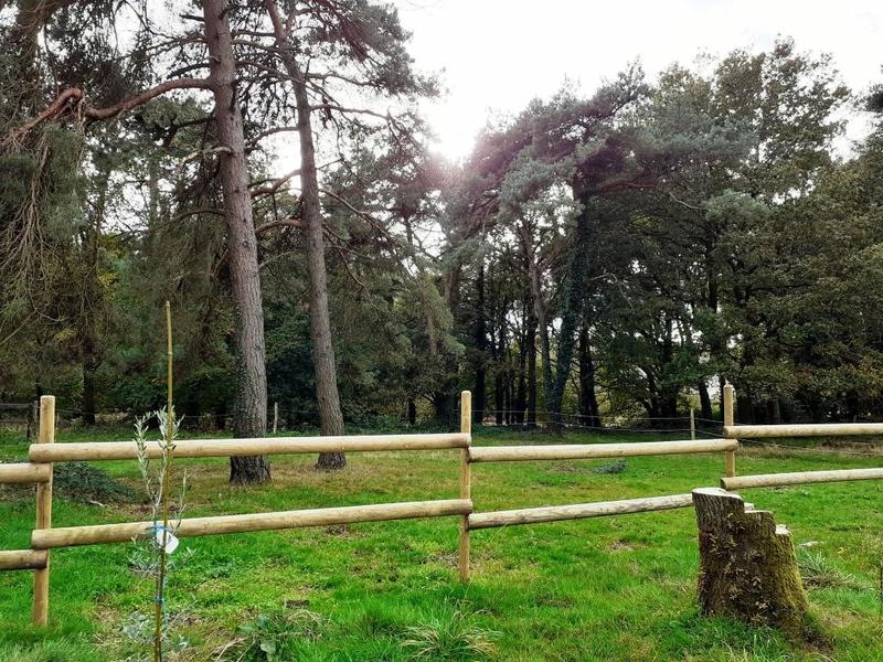 Maison de domaine équestre - 1 m²