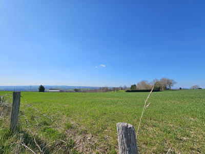 Terrain - 805 m²