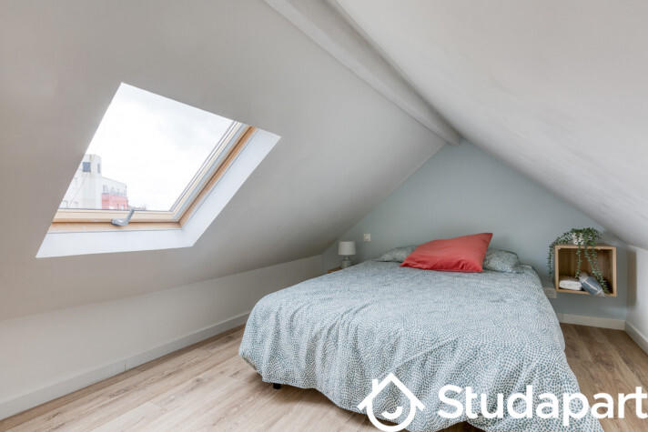 Chambre - 26 m² - 1 pièce