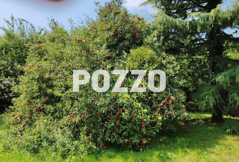 Maison - 200 m² - 7 pièces