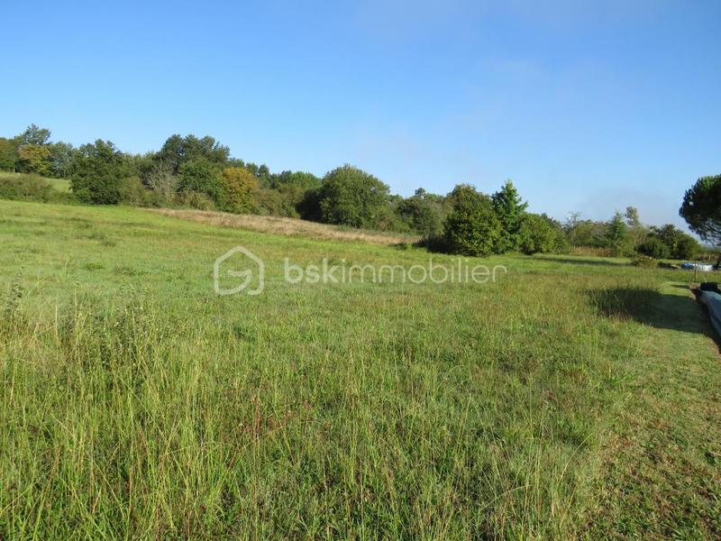 Terrain - 6 038 m²