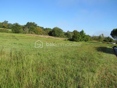 Terrain - 6 038 m²