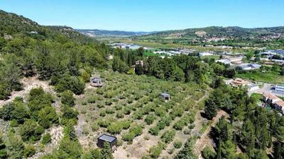 Terrain agricole - 13 051 m²