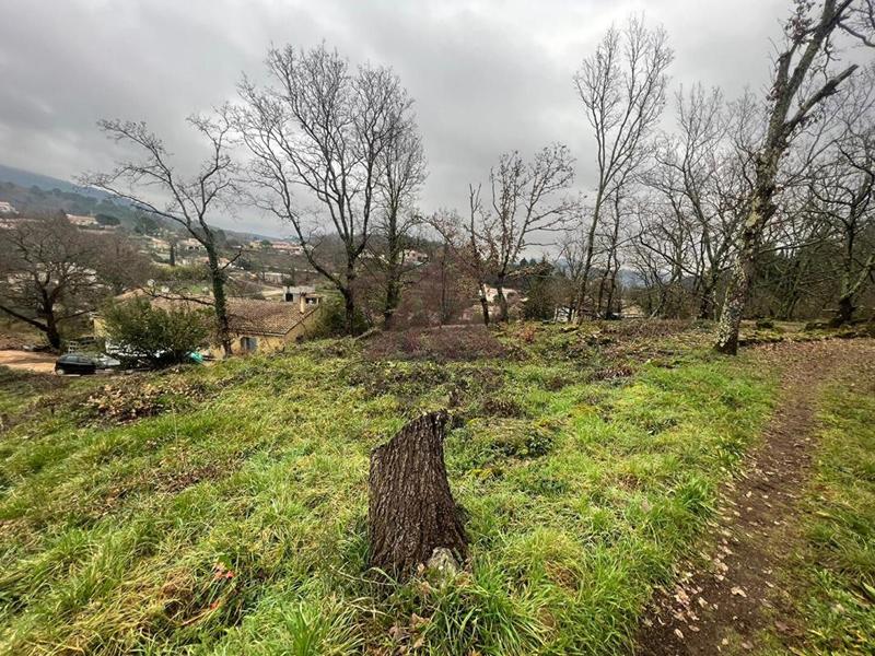 Terrain constructible - 1 255 m²