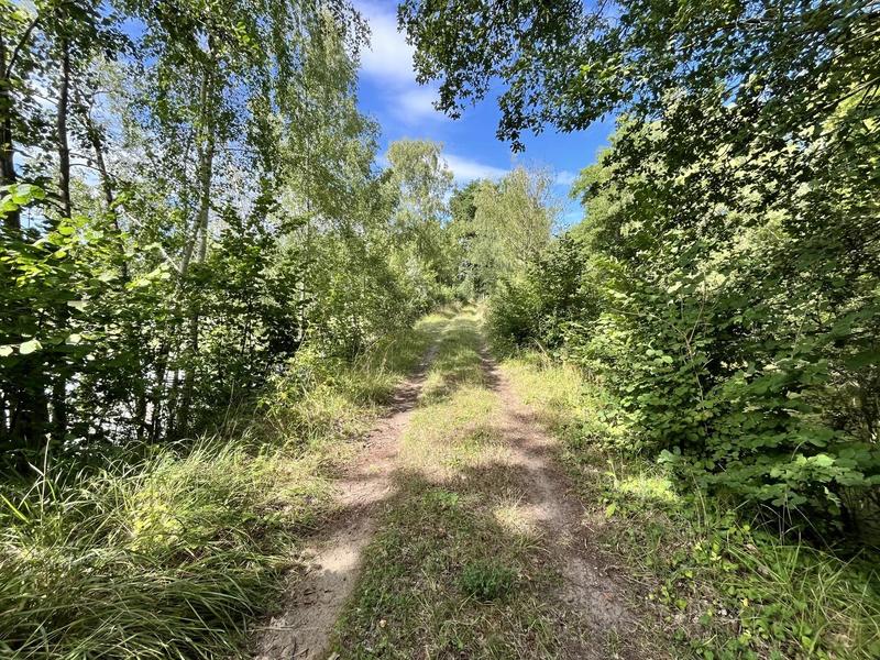 Terrain - 81 675 m²